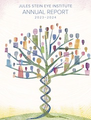 Jules Stein Eye Annual Report 2024